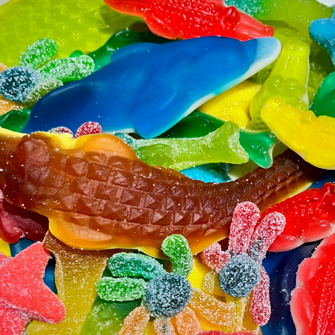 OCEAN BITES gumicukor válogatás
